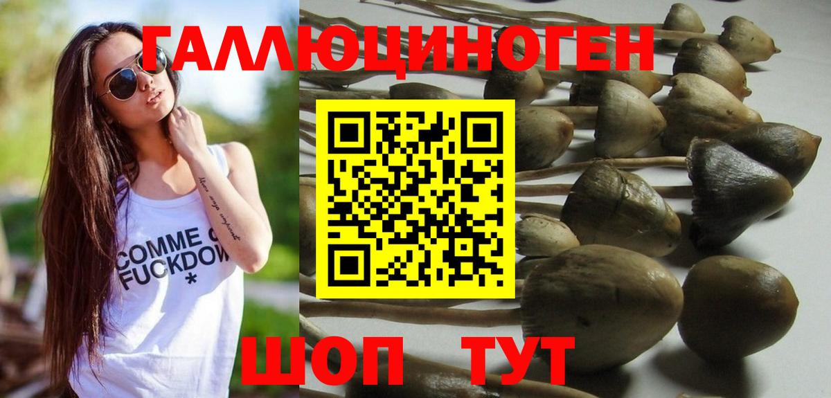 Галлюциногенные грибы Cubensis  Вход с VPN  Котельники 